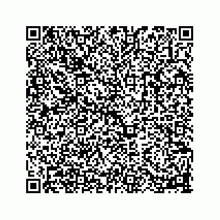 vCard 78113256380