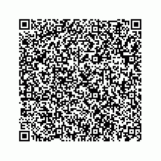 vCard 78113256381