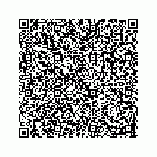 vCard 78113256382