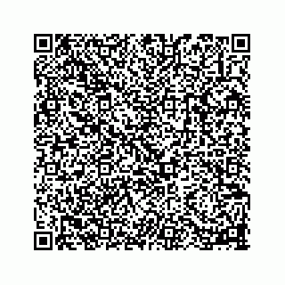 vCard 78113256384