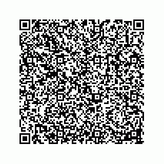 vCard 78113256386