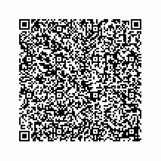 vCard 78113256390