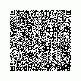 vCard 78113256399