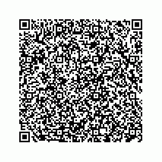 vCard 78113272000