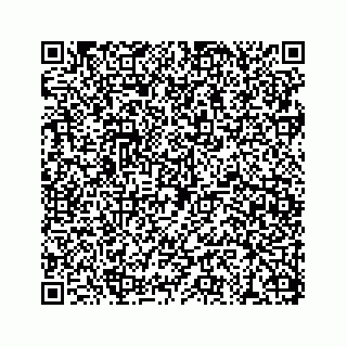 vCard 78113272001
