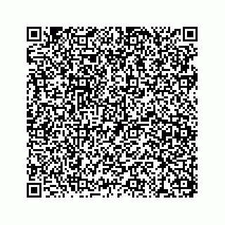 vCard 78113272002