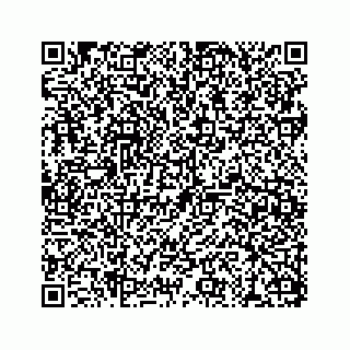 vCard 78113272003