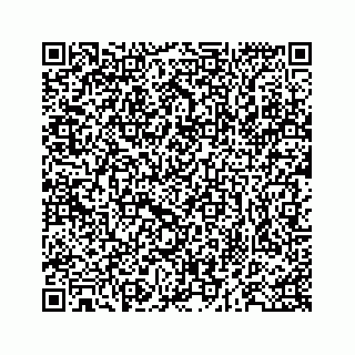 vCard 78113272004