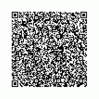 vCard 78113272110