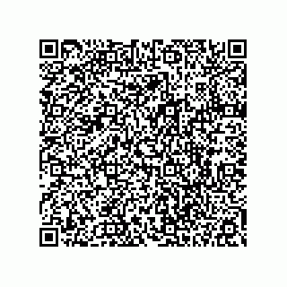 vCard 78113322803