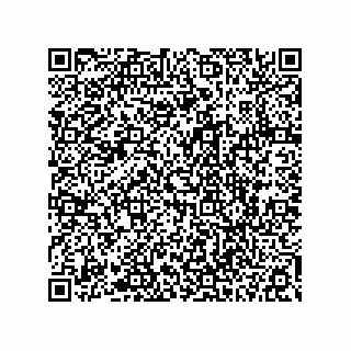 vCard 78113322870