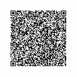 vCard 78113323110