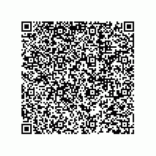 vCard 78113323141