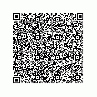 vCard 78113323165