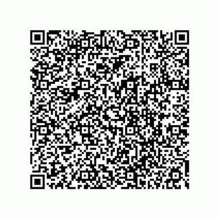 vCard 78113323267