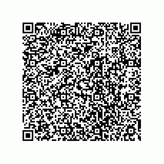 vCard 78113323277
