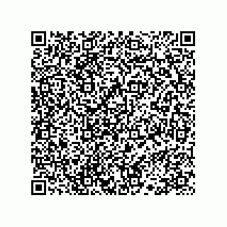 vCard 78113323285
