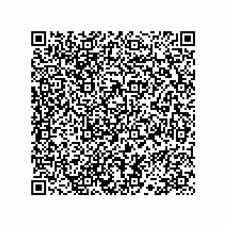 vCard 78113323295