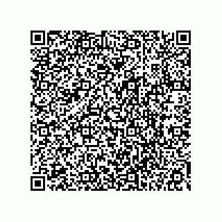 vCard 78113323306