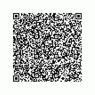 vCard 78113323309