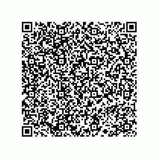 vCard 78113323359