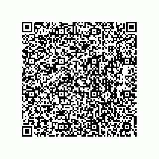 vCard 78113323377