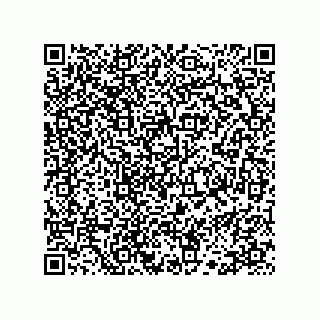 vCard 78113323401