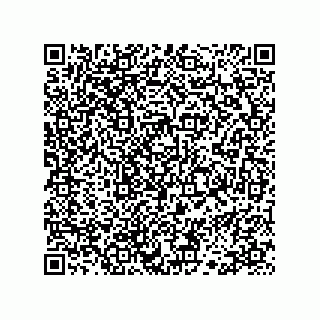 vCard 78113323410