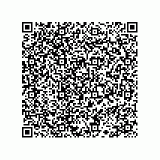 vCard 78113323411