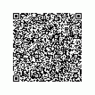 vCard 78113324100