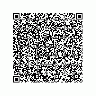 vCard 78113324101
