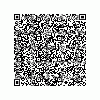 vCard 78113324102
