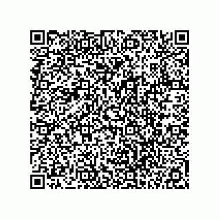 vCard 78113324104