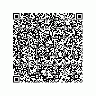 vCard 78113324107