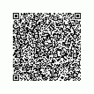 vCard 78113324110