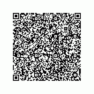 vCard 78113324119