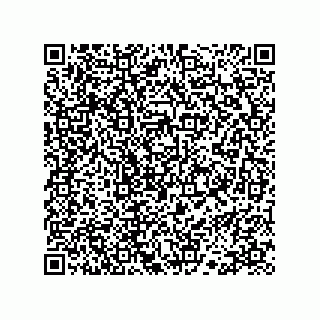 vCard 78113324130