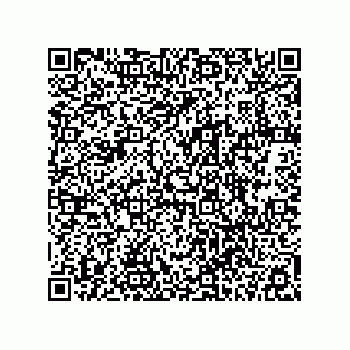 vCard 78113324131