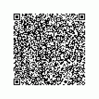 vCard 78113324133