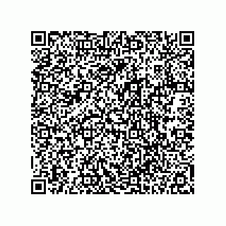 vCard 78113324136