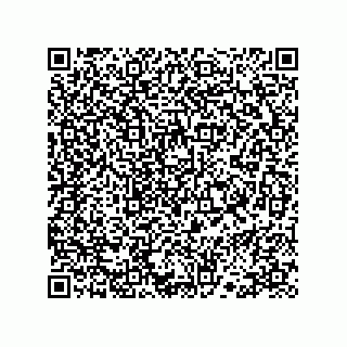 vCard 78113324151