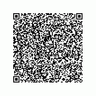 vCard 78113324161