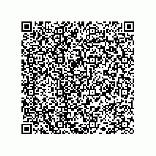 vCard 78113324165