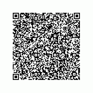 vCard 78113324196