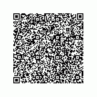 vCard 78113324198