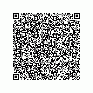 vCard 78113324199