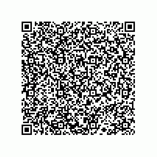 vCard 78113327139