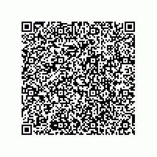 vCard 78113327140