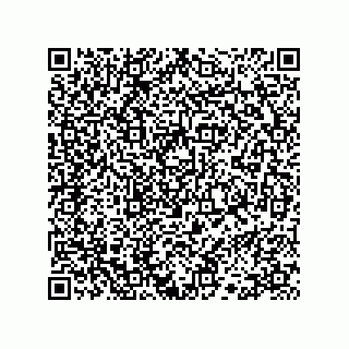 vCard 78113327701