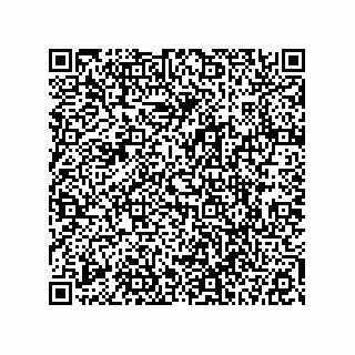 vCard 78113327702